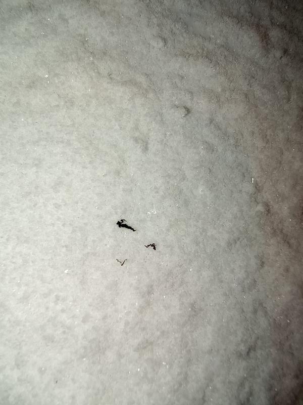 black plastic bits came out along with salt when using the grinder