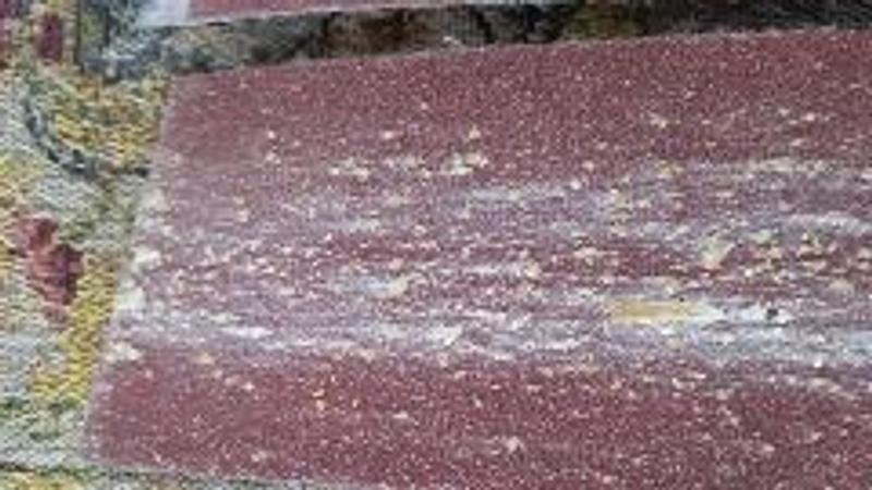 Photo - commentaire 4.