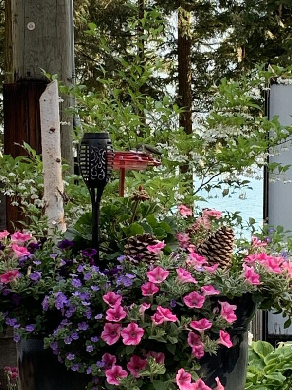 See the feeder in the flower pot.