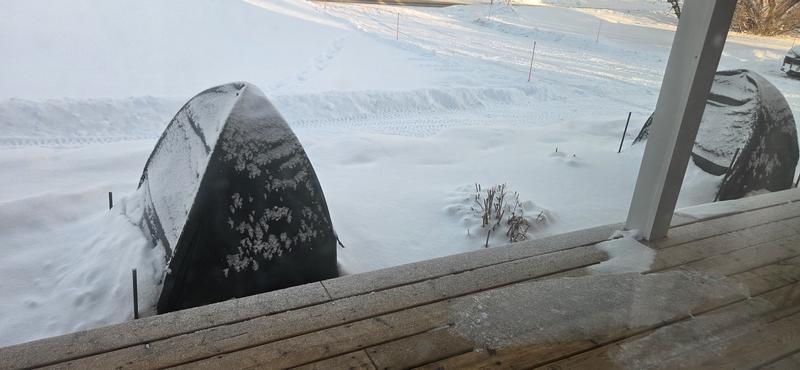 Photo - commentaire&nbsp;1.