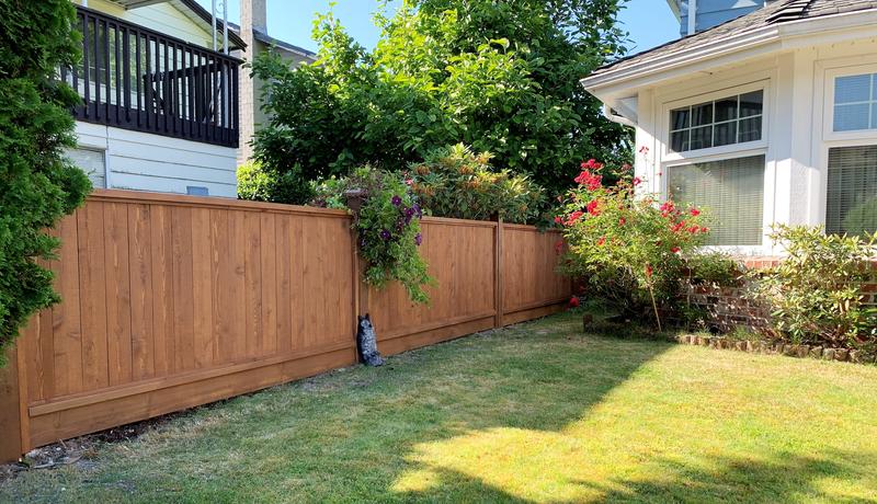 Photo - commentaire 3.