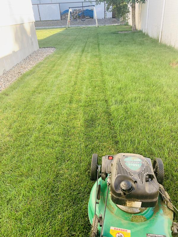 Photo - commentaire 7.