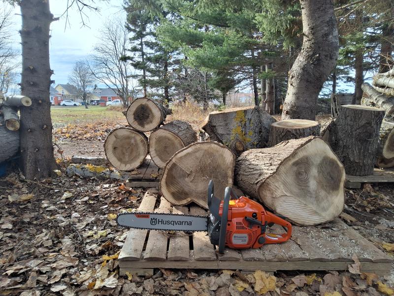 Photo - commentaire&nbsp;2.