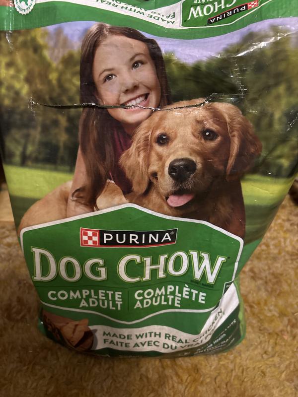 Dog food