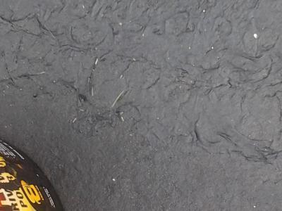 Note wrinkled coating