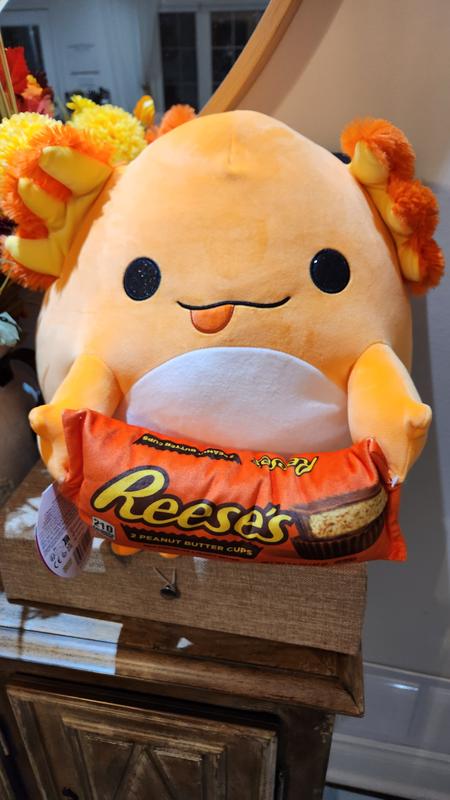 Photo - commentaire&nbsp;2.