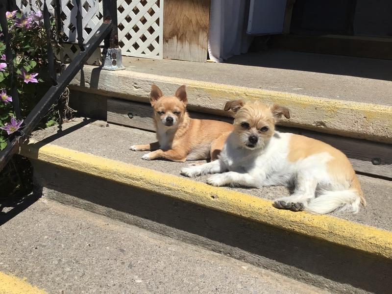 Photo - commentaire&nbsp;1.