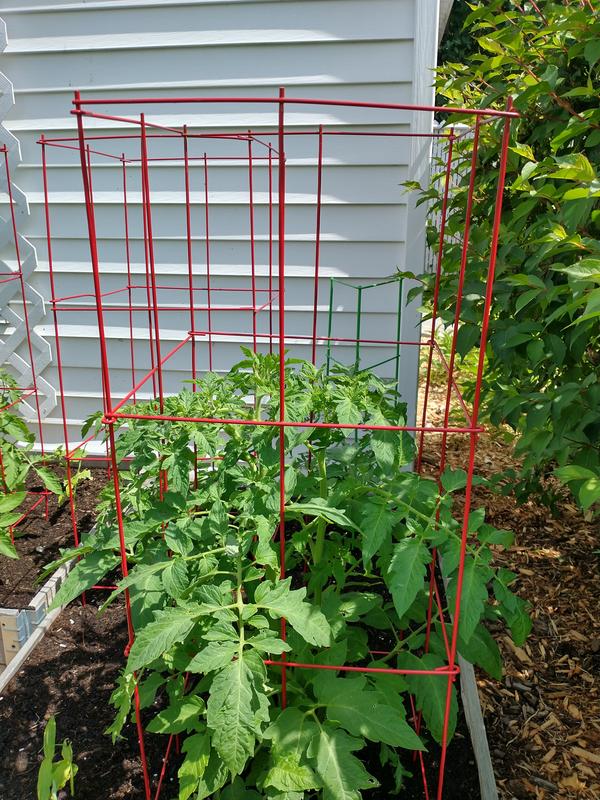 Photo - commentaire&nbsp;1.