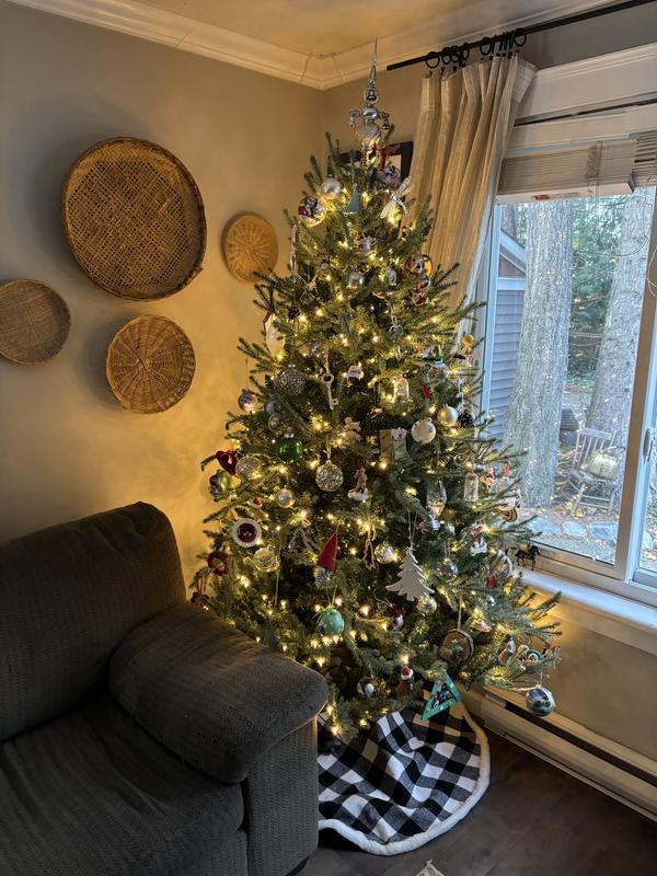 Photo - commentaire&nbsp;8.