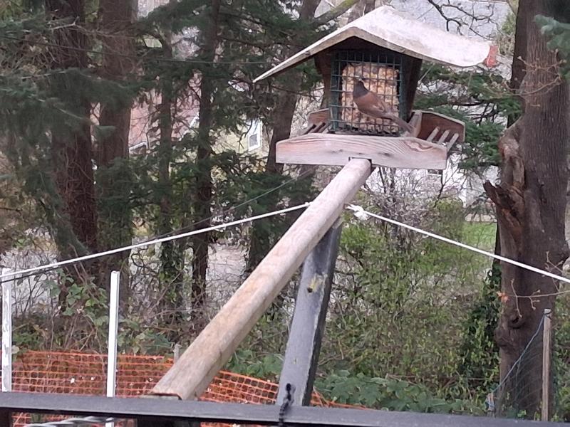 Photo - commentaire&nbsp;1.