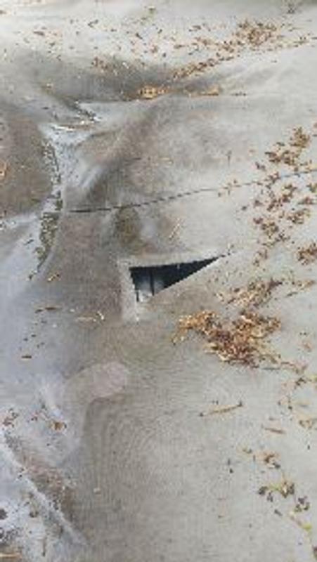 Photo - commentaire 2.