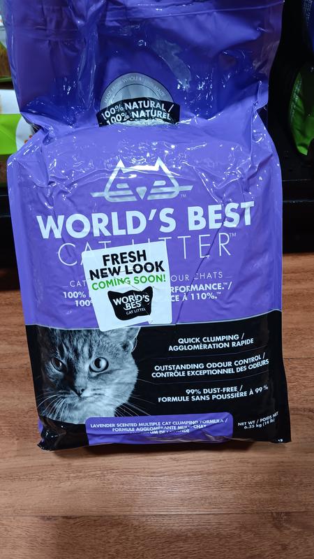 Photo - commentaire 1.