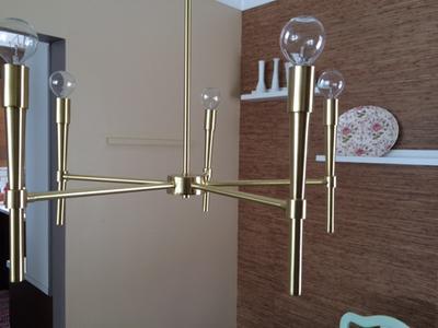 Slightly crooked rear branches