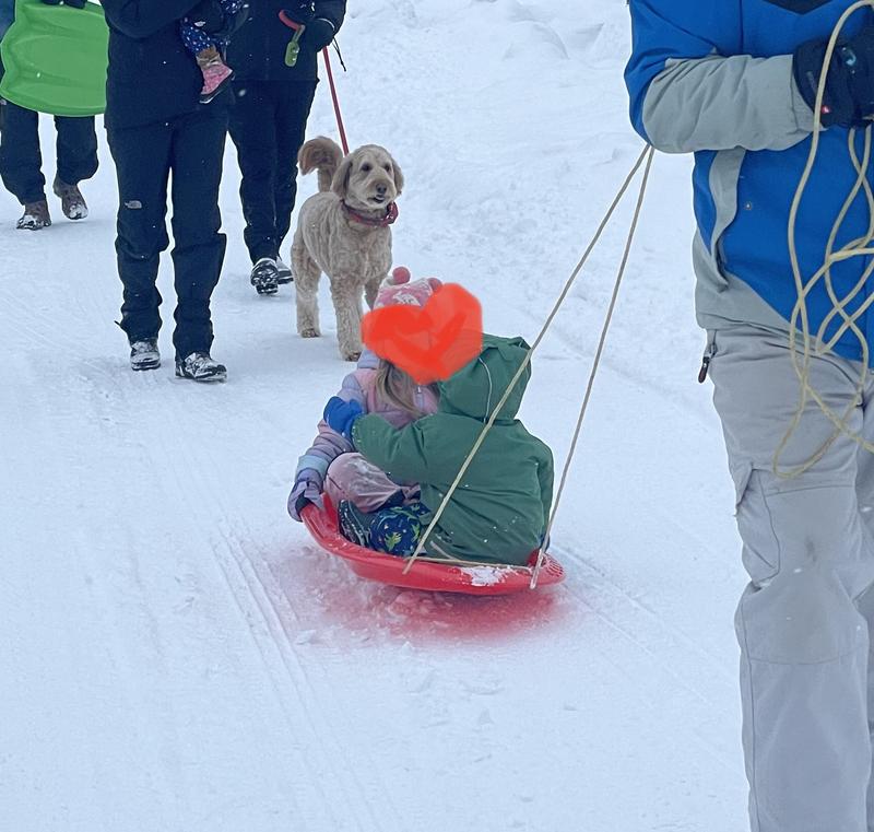 Photo - commentaire 2.