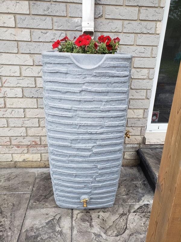 Photo - commentaire 3.