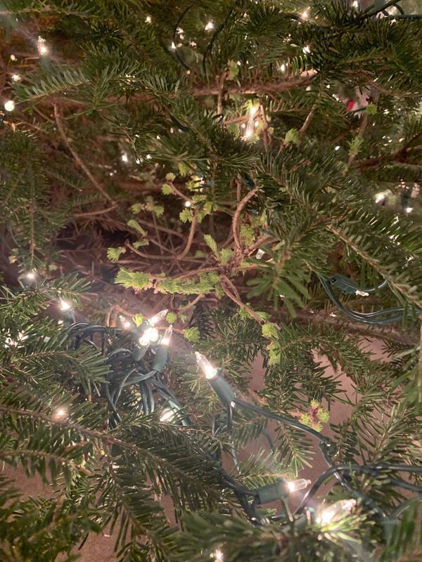 Photo - commentaire&nbsp;3.