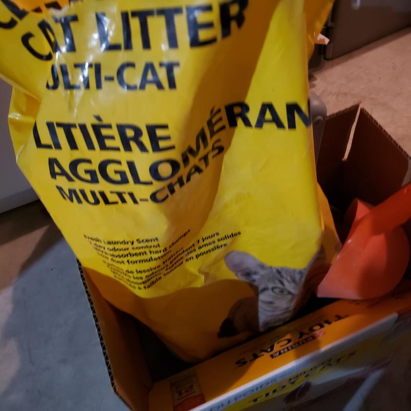 Photo - commentaire&nbsp;1.