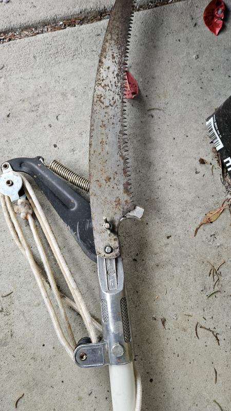 Photo - commentaire 7.