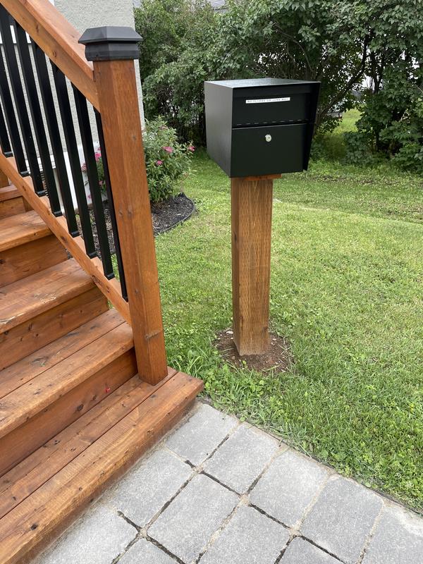 Front yard front and rear view