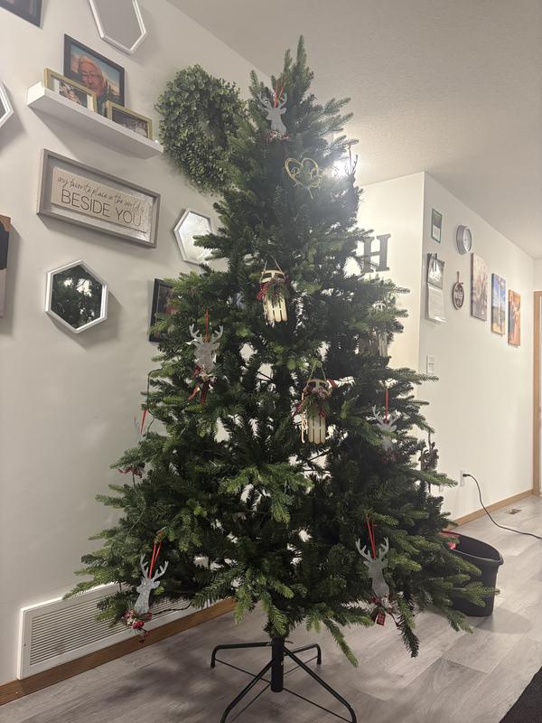 Comparison to online picture & in person picture