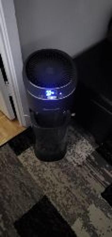 Photo - commentaire&nbsp;2.