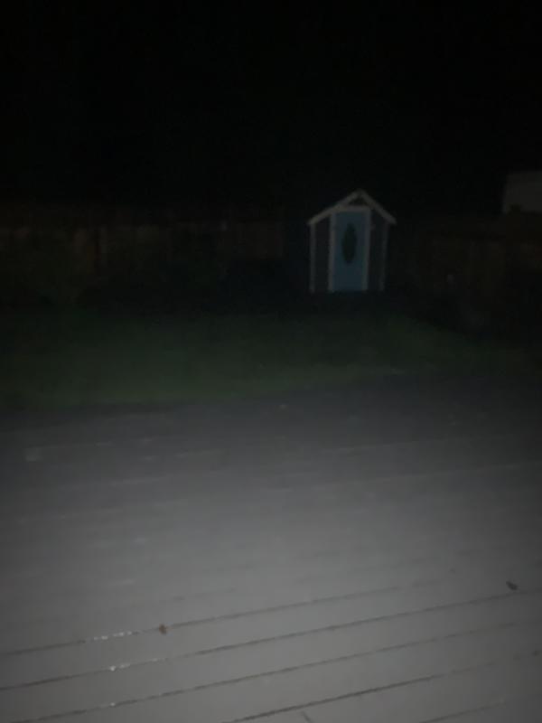Backyard with my phones flash only