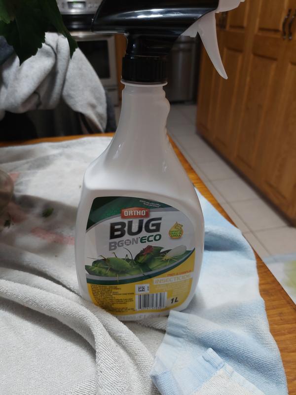 Photo - commentaire&nbsp;1.