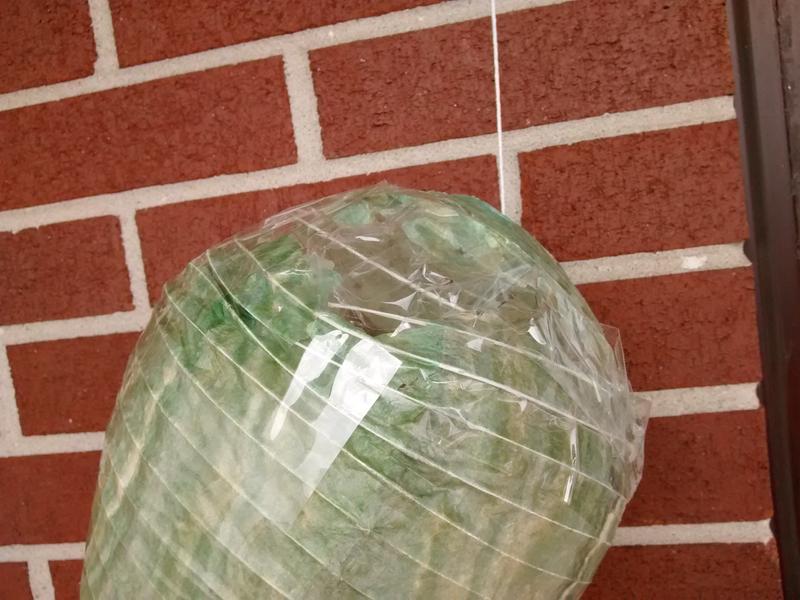 One of four faux wasp nests patched up with packing tape