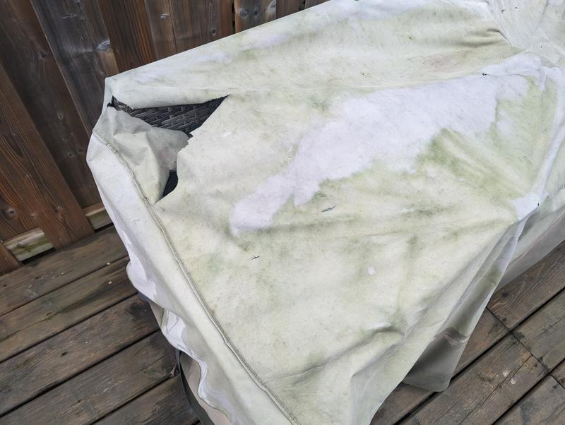 Photo - commentaire 4.