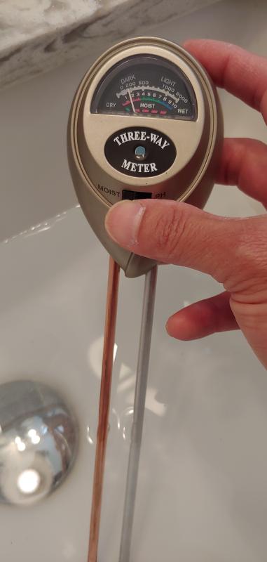 Photo - commentaire 6.