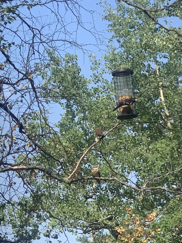 Photo - commentaire&nbsp;3.