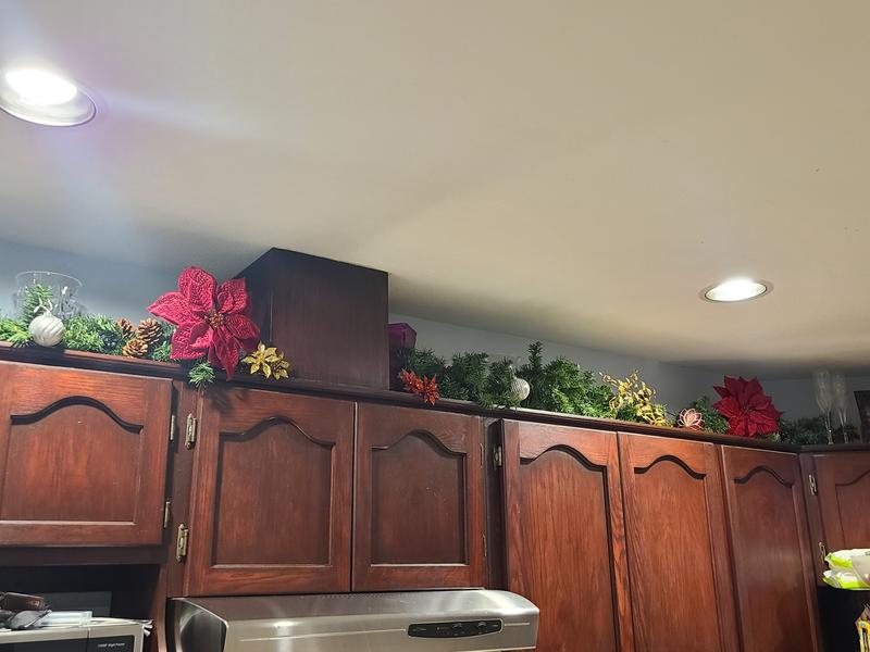 Photo - commentaire 7.