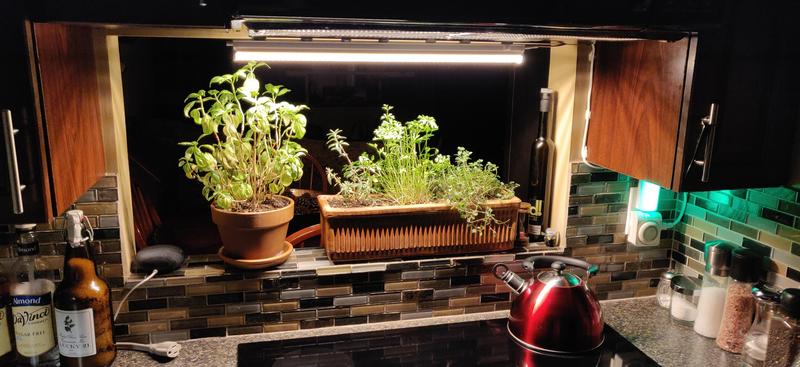 Photo - commentaire&nbsp;8.