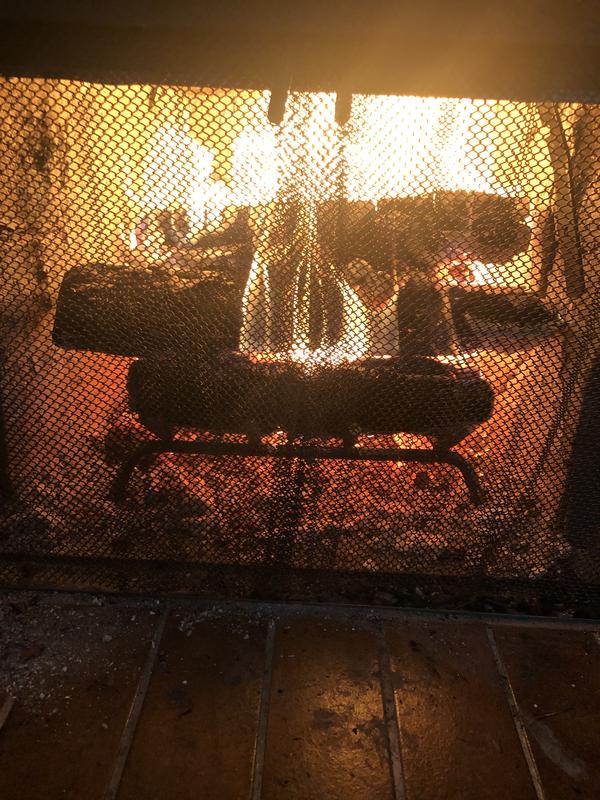 Grille pour foyer en fer à 4 barres Panacea avec retenue de