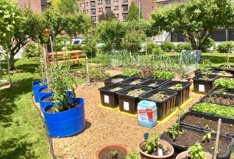 Photo - commentaire 3.