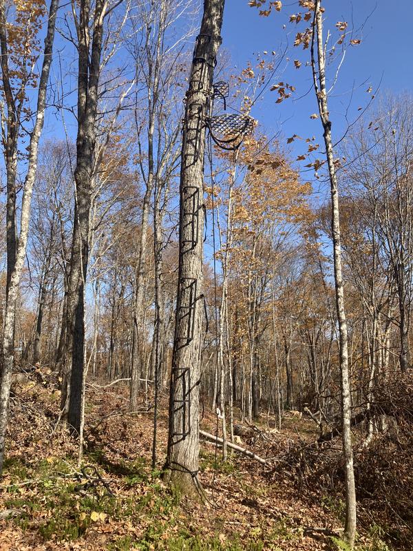 Photo - commentaire&nbsp;2.