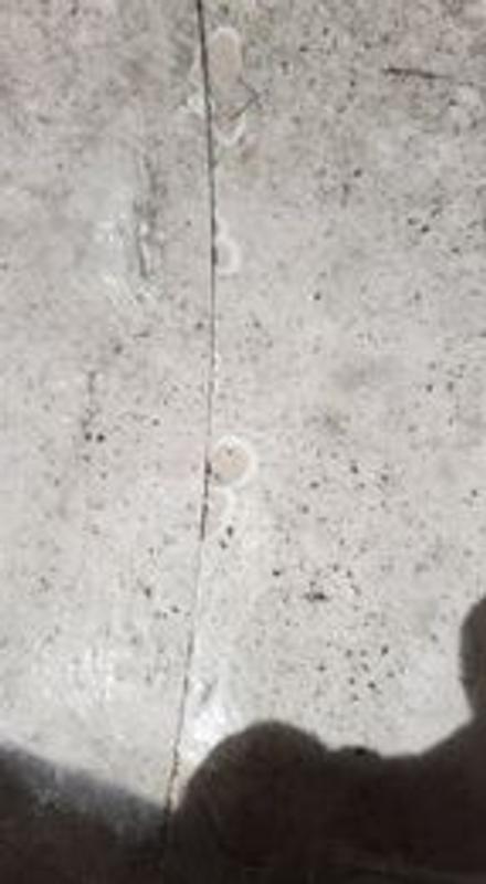 Photo - commentaire 1.