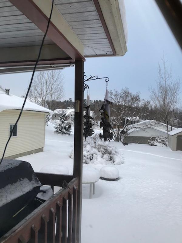 Armstrong Nyjer time