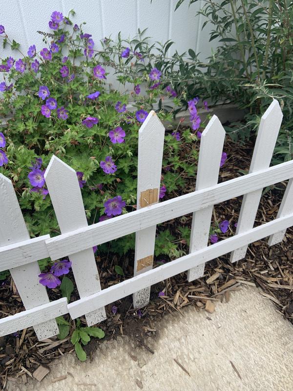 Photo - commentaire&nbsp;1.