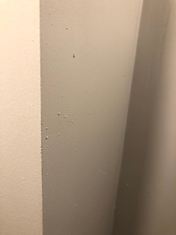 Photo - commentaire&nbsp;6.