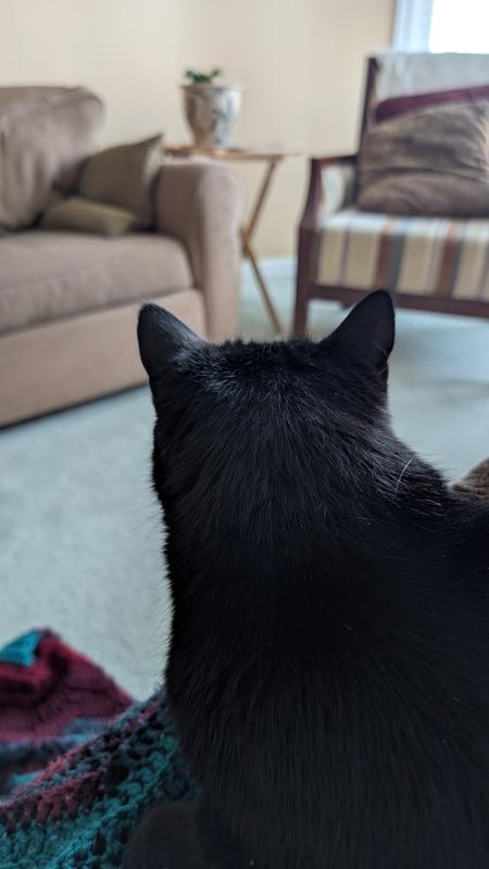 Photo - commentaire&nbsp;1.