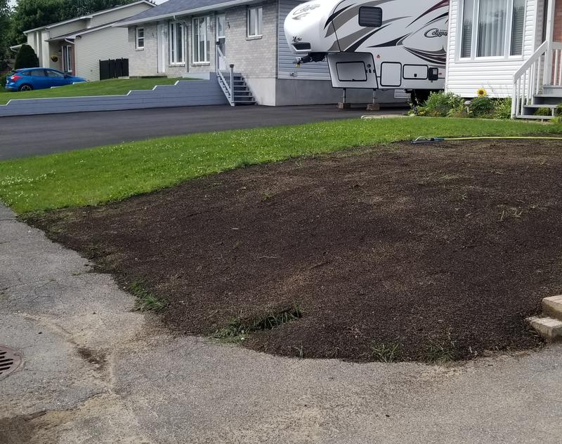 Photo - commentaire&nbsp;5.