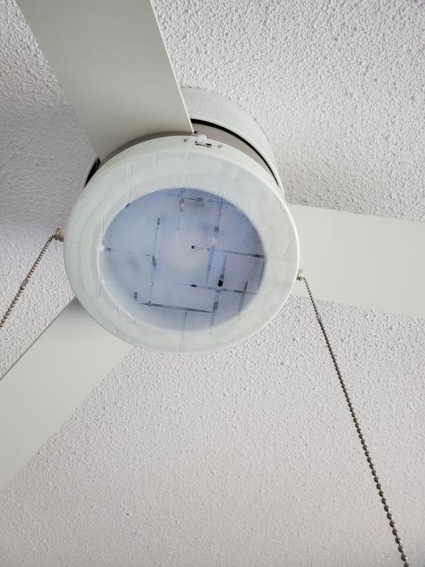 Photo - commentaire 2.