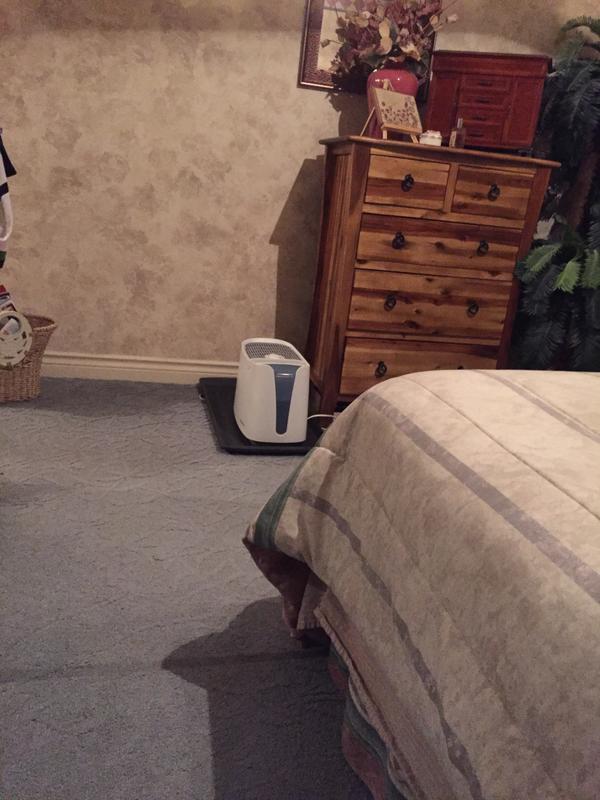 Photo - commentaire 3.