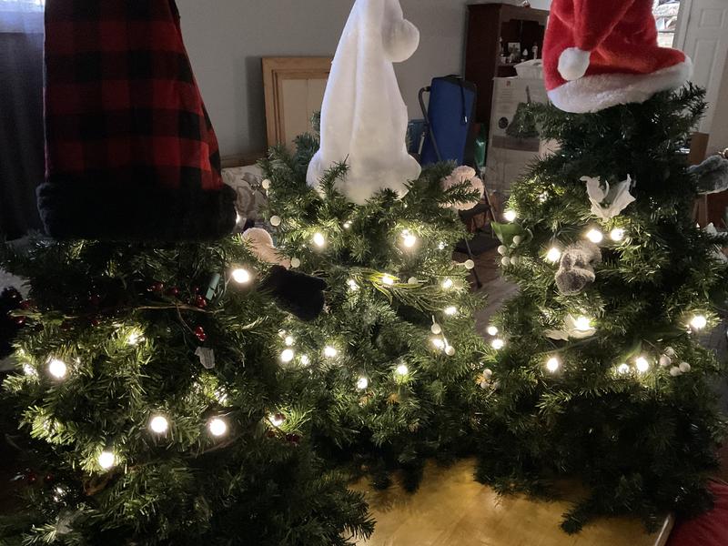 Photo - commentaire 2.