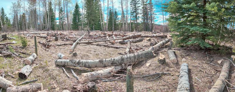 The area cleared with 3 battery charges