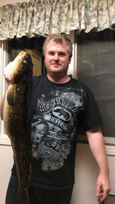 12lb Burbot