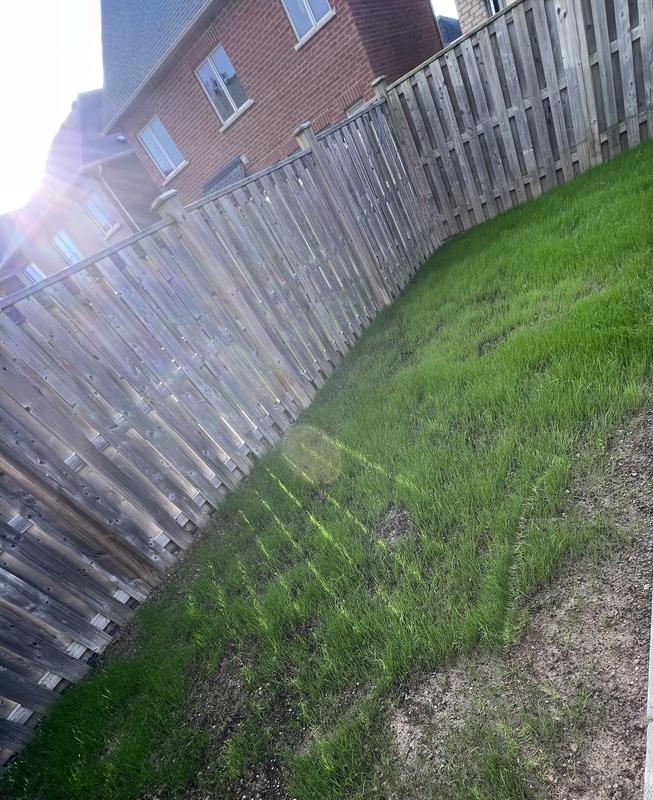 Photo - commentaire 7.