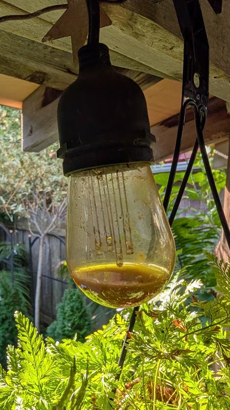 Photo - commentaire 1.