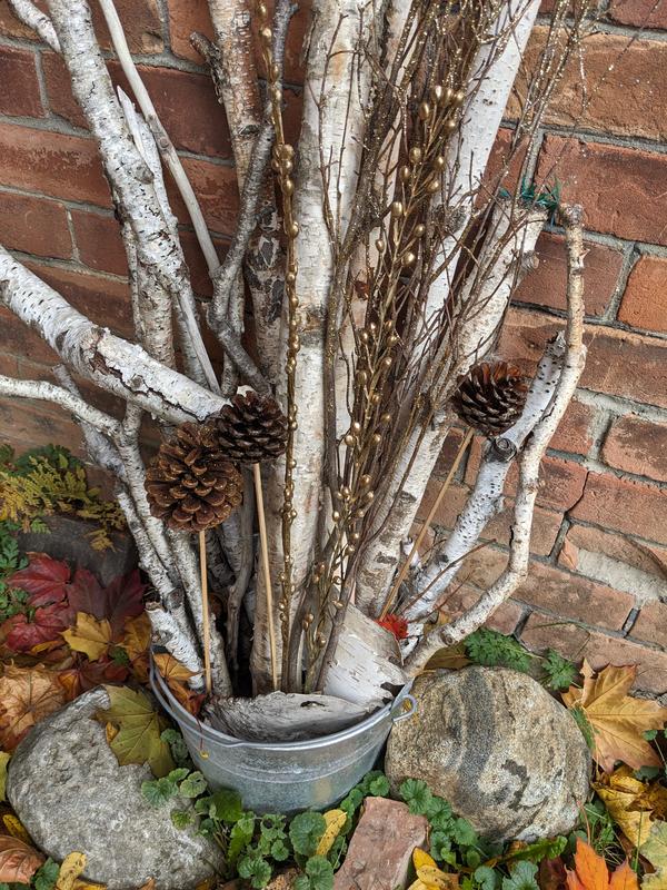 Display added to my already existing birch bucket
